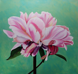 Soft Petals