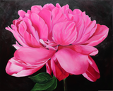 Perfectly Pink Peony