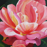 Peachy Yellow Rose