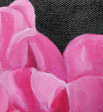 Perfectly Pink Peony