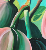 Gum Nuts (Eucalyptus Tree)